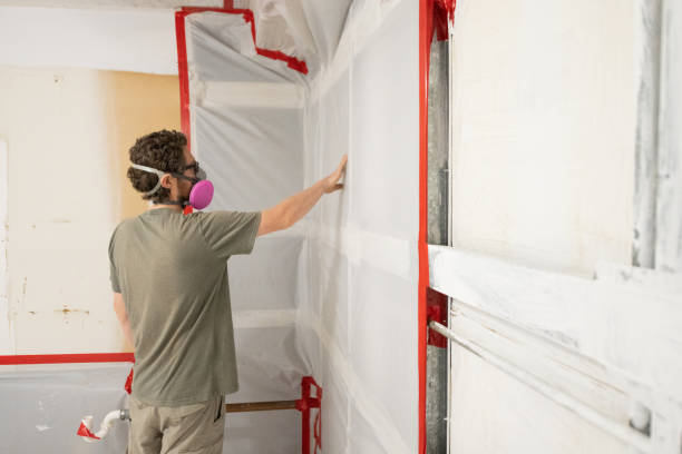 Best Mold Remediation for Healthcare Facilities  in Lakeview Estates, GA