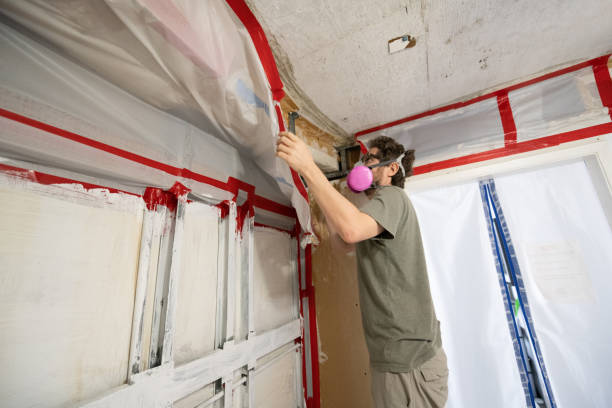 Best Water Damage & Mold Remediation  in Lakeview Estates, GA