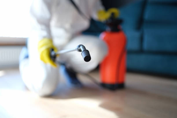 Best Airborne Mold Testing  in Lakeview Estates, GA